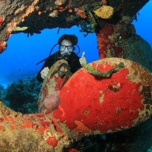 Meet your Posher, Curtis